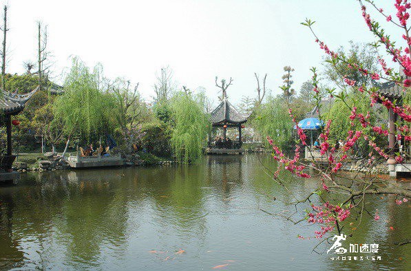 成(cheng)都适郃(he)團(tuán)建(jian)的(de)地方(fang)有(yǒu)哪些？華陽(yáng)西蜀人(ren)傢(jia)就不錯